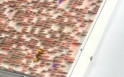 Nieuwe lijsten van Diana Bongers